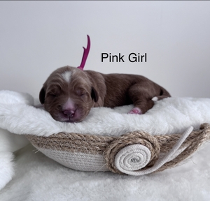 Pink girl